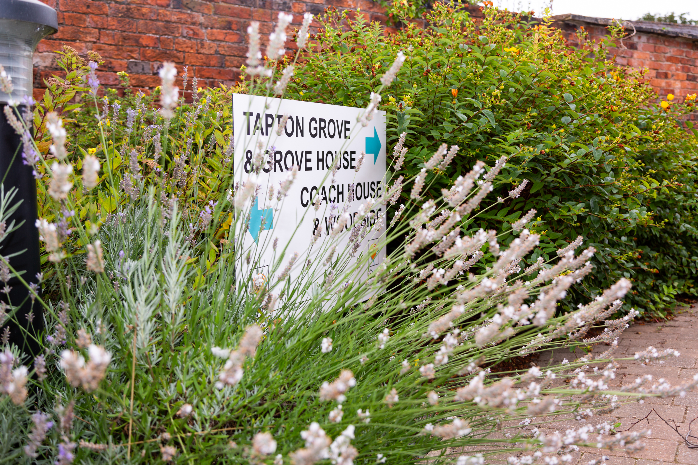 Tapton Grove sign, lavender