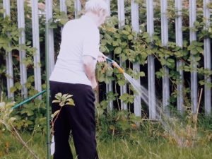 Elderly man watering plants